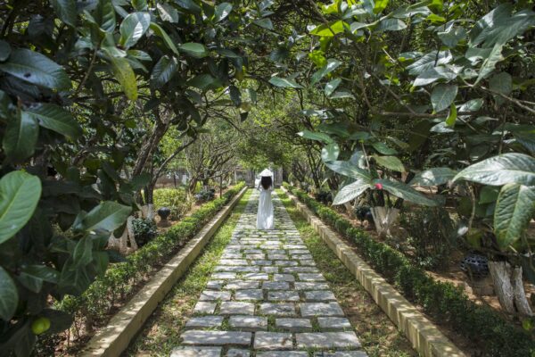 Silk Path Grand Hue - Travel Guide | An Hien Garden House