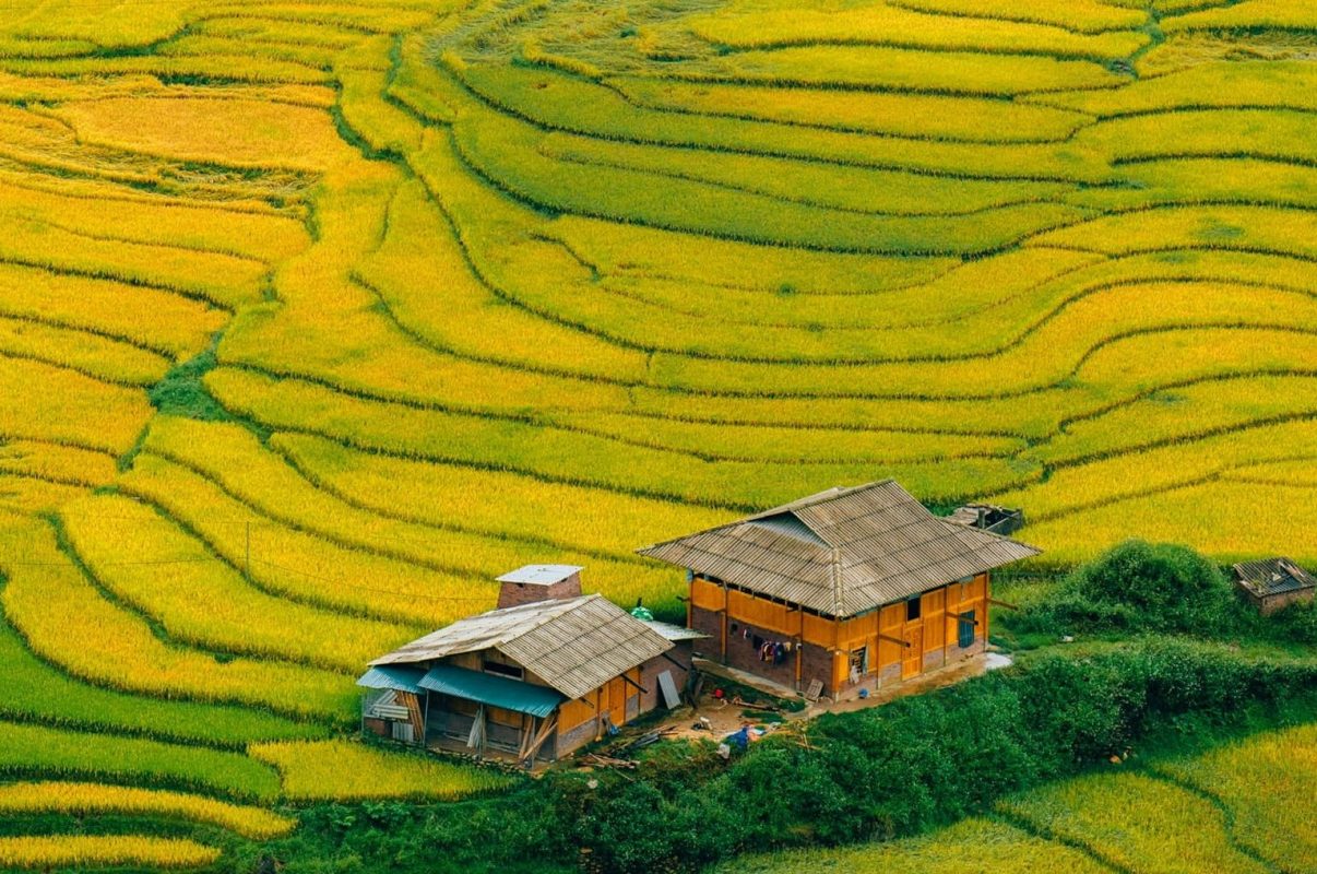 Silk Path Grand Sapa - Mùa lúa chín - Cẩm nang du lịch Việt Nam