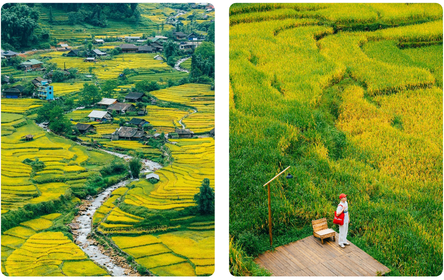 Silk Path Grand Sapa - Mùa lúa chín - Cẩm nang du lịch Việt Nam (3)