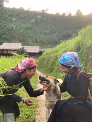 Dân tộc Tày tại Lào Cai | Silk Path - Cẩn nang du lịch Việt Nam